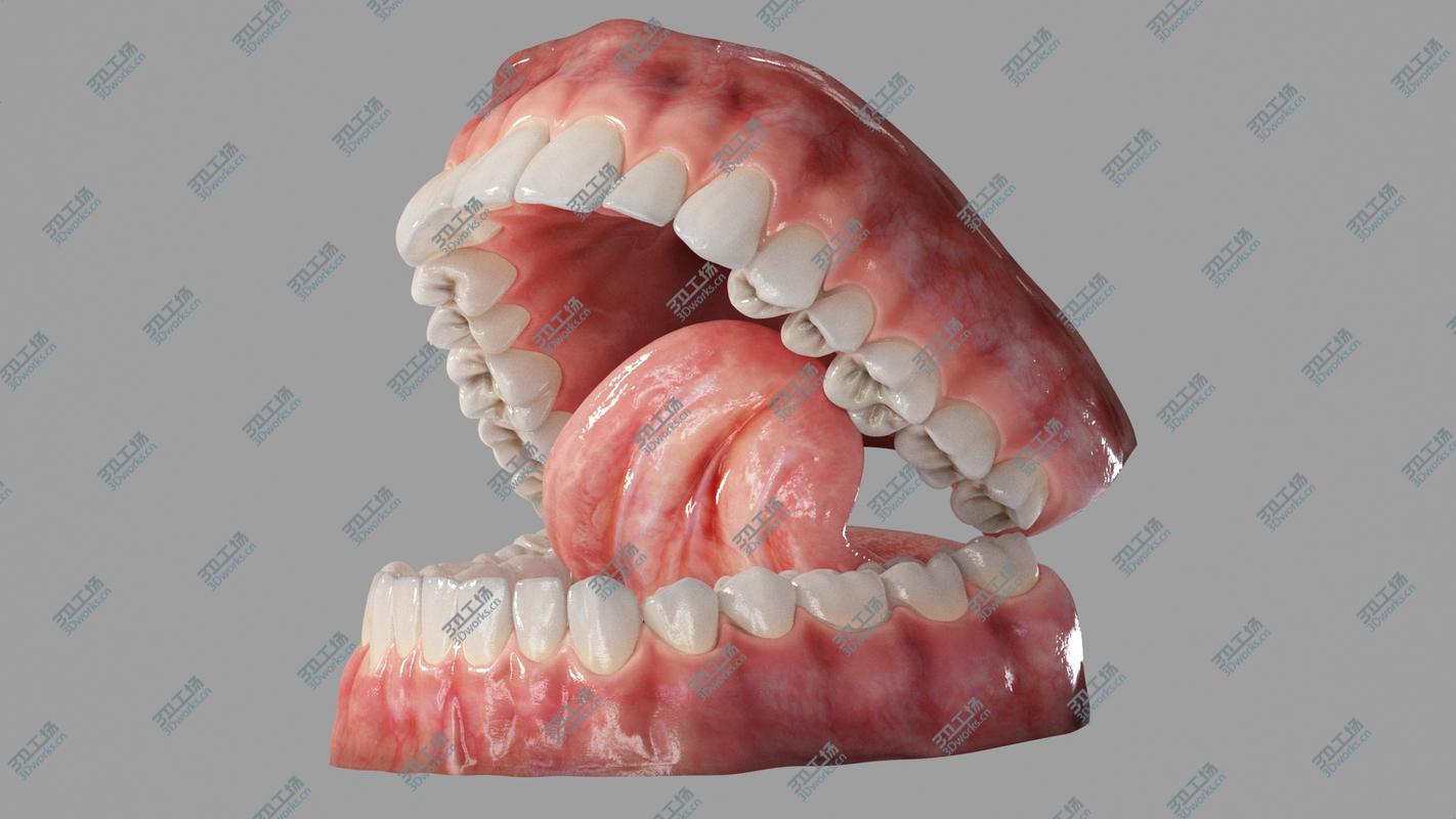 images/goods_img/202104023/Realistic Human Mouth Teeth Tongue Rigged 3D model/5.jpg